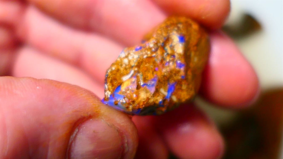 Queensland Sandy Ironstone Boulder opal nodule Showing lots of Bright Blue colours ALP0