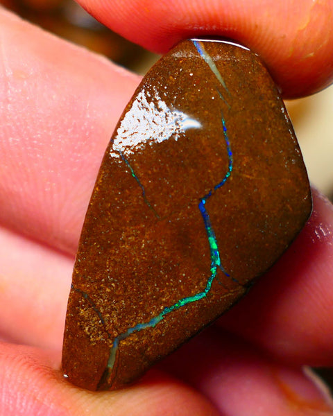 Queensland Boulder / Matrix opal 35cts Big rough/rub Winton Bright Green & Blue fires showing 34x18x7mm ALP005