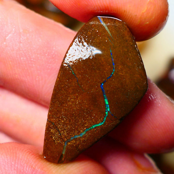 Queensland Boulder / Matrix opal 35cts Big rough/rub Winton Bright Green & Blue fires showing 34x18x7mm ALP005