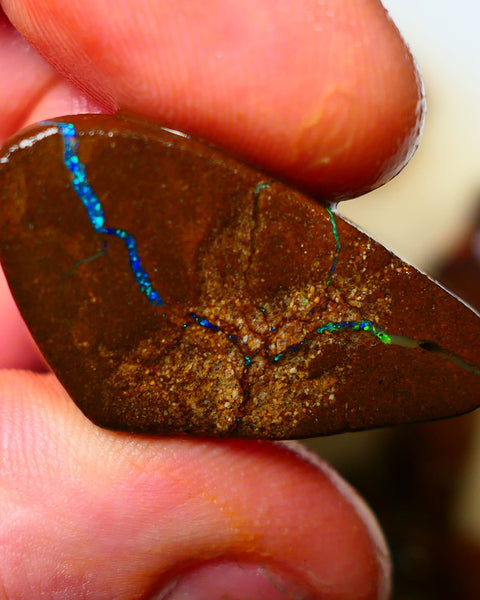 Queensland Boulder / Matrix opal 35cts Big rough/rub Winton Bright Green & Blue fires showing 34x18x7mm ALP005