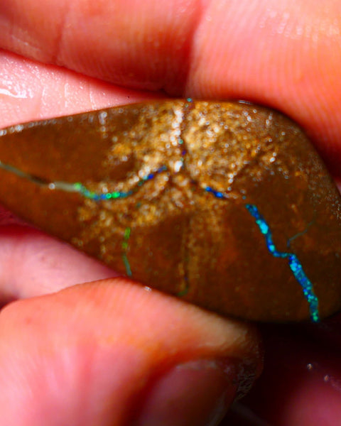 Queensland Boulder / Matrix opal 35cts Big rough/rub Winton Bright Green & Blue fires showing 34x18x7mm ALP005