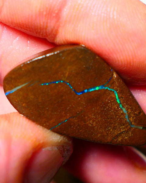 Queensland Boulder / Matrix opal 35cts Big rough/rub Winton Bright Green & Blue fires showing 34x18x7mm ALP005