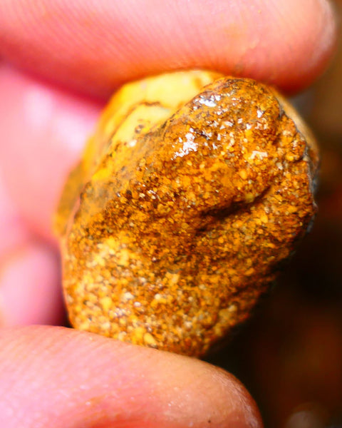 Queensland Ironstone Boulder opal nodule Showing Nice Bright Blue colours ALP0