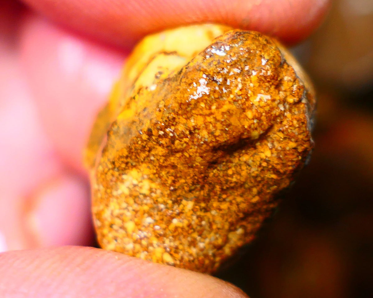 Queensland Ironstone Boulder opal nodule Showing Nice Bright Blue colours ALP0