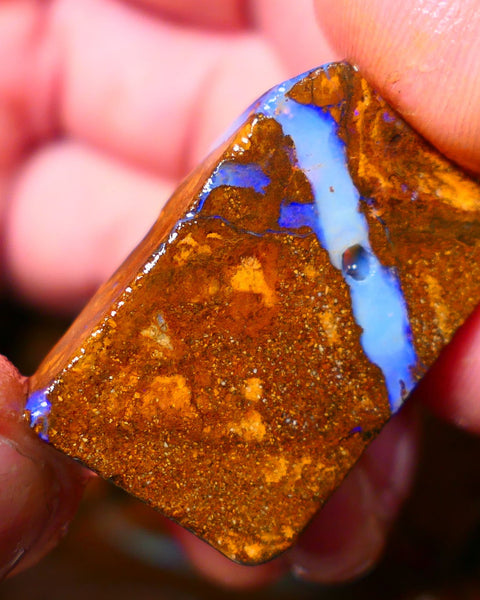 Queensland Boulder / Matrix opal 50cts rough/rub Winton Bright Blue fires showing in a vein 31x20x7mm ALP011