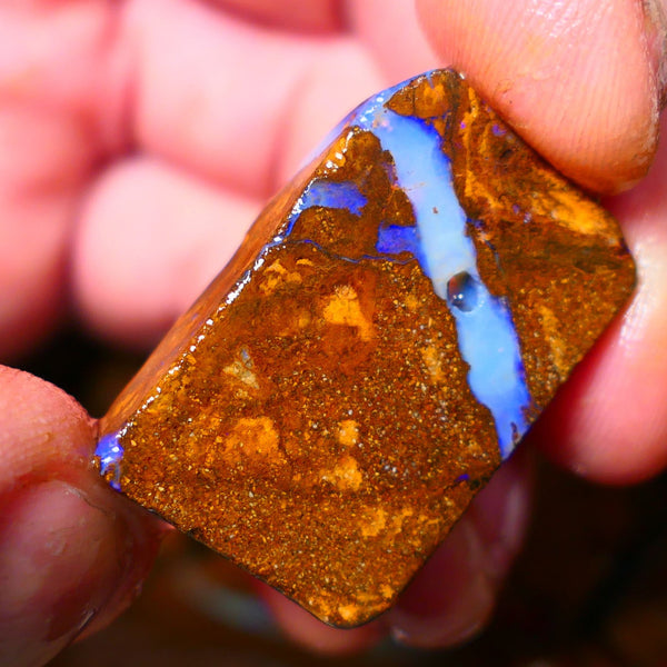 Queensland Boulder / Matrix opal 50cts rough/rub Winton Bright Blue fires showing in a vein 31x20x7mm ALP011