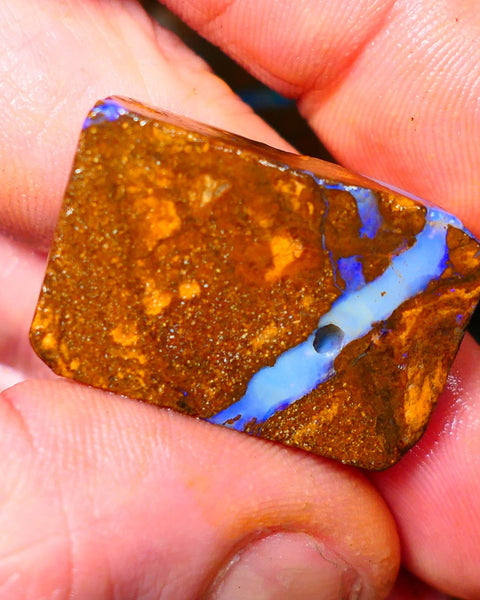 Queensland Boulder / Matrix opal 50cts rough/rub Winton Bright Blue fires showing in a vein 31x20x7mm ALP011