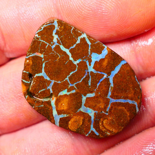 Queensland Boulder / Matrix opal 42cts rough/rub Interesting veins of opal with some Green & Blue fires showing in a vein 33x24x6mm ALP0