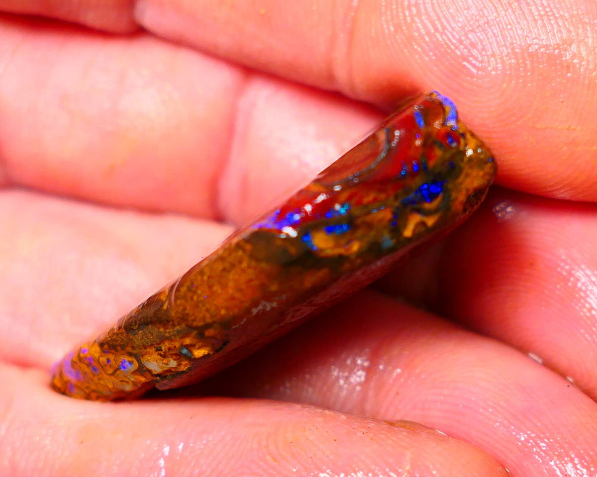 Queensland Boulder / Matrix opal 65cts Big rough/rub Yowah Gorgeous Bright Blue fires show plenty to go at here 38X23X9MM ALP007