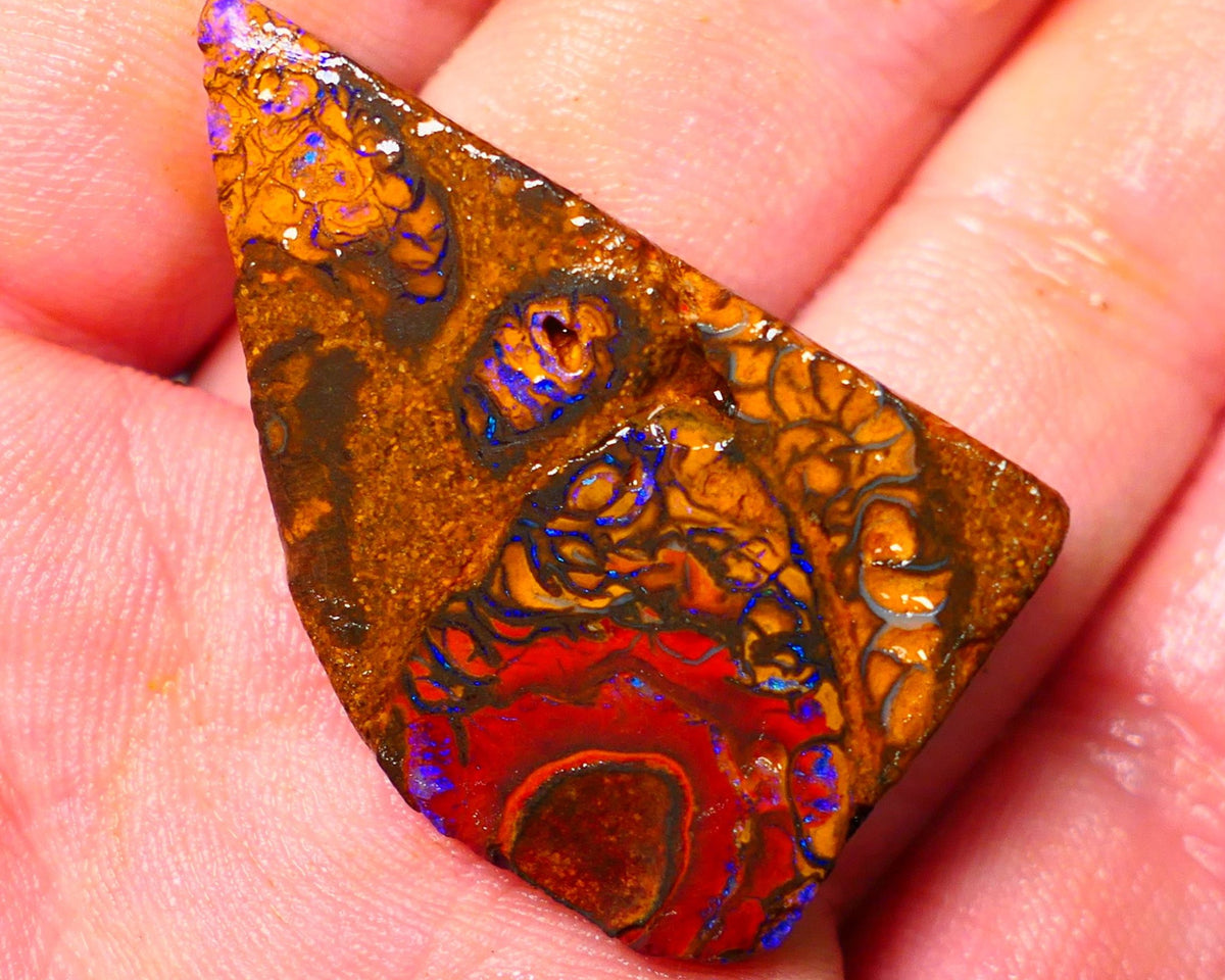 Queensland Boulder / Matrix opal 65cts Big rough/rub Yowah Gorgeous Bright Blue fires show plenty to go at here 38X23X9MM ALP007