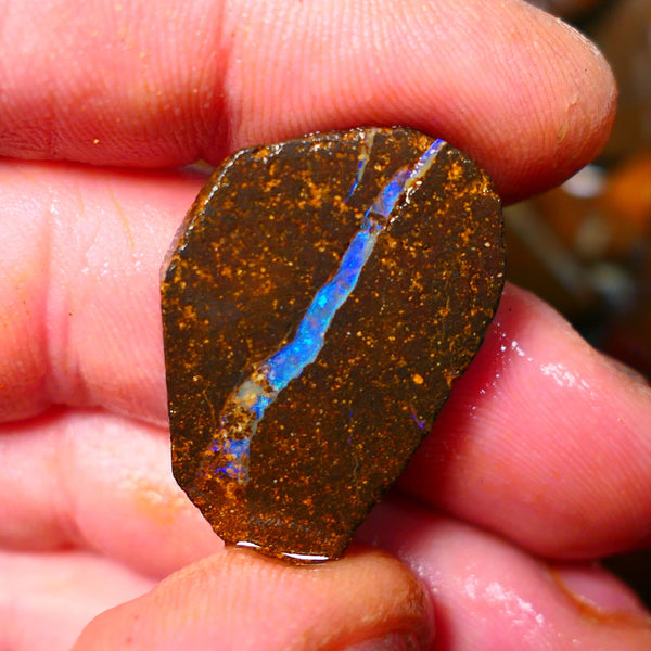 Queensland Boulder / Matrix opal 35cts rough/rub Winton Bright Green & Blue fires showing in a vein 29x20x5mm ALP012