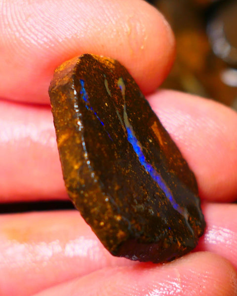 Queensland Boulder / Matrix opal 35cts rough/rub Winton Bright Green & Blue fires showing in a vein 29x20x5mm ALP012