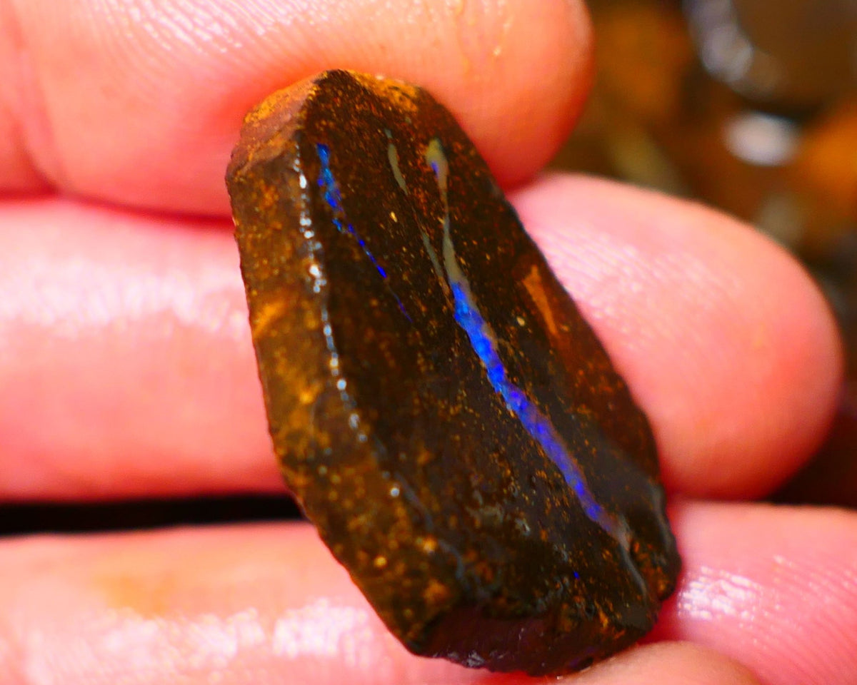 Queensland Boulder / Matrix opal 35cts rough/rub Winton Bright Green & Blue fires showing in a vein 29x20x5mm ALP012