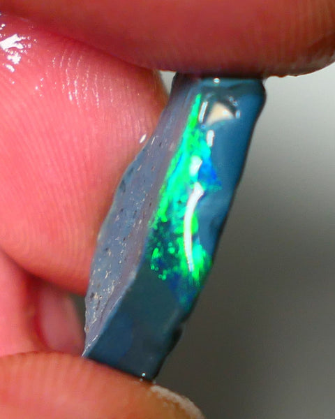 Lightning Ridge Rough Rub Opal 10.00cts Black Base Seam Bright  Gorgeous exposed Vibrant Multifires 23x14x4mm NS351