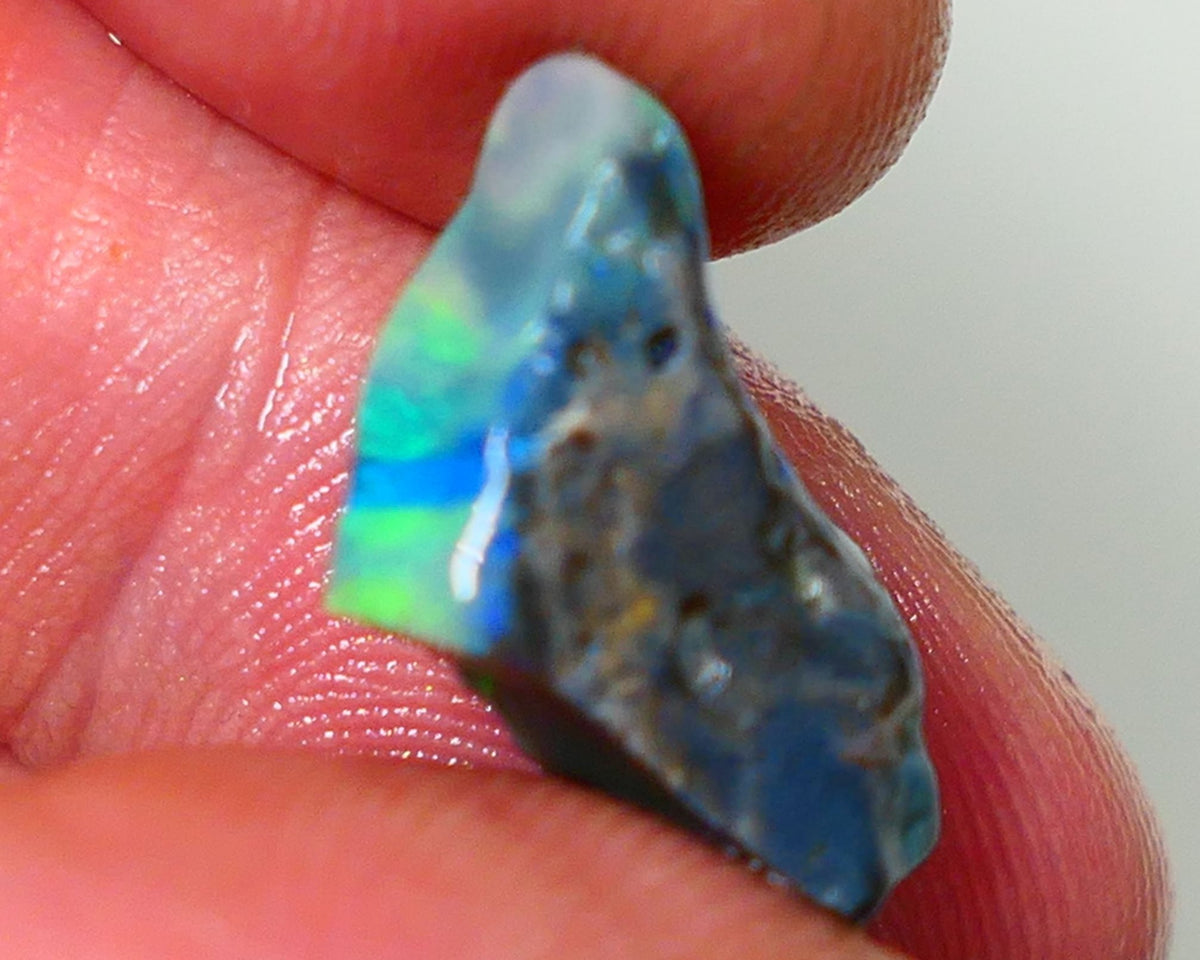 Lightning Ridge Rough Opal 7.25cts Dark Base Seam Bright  Gorgeous Exotic Multifires 18x10x7mm NS349