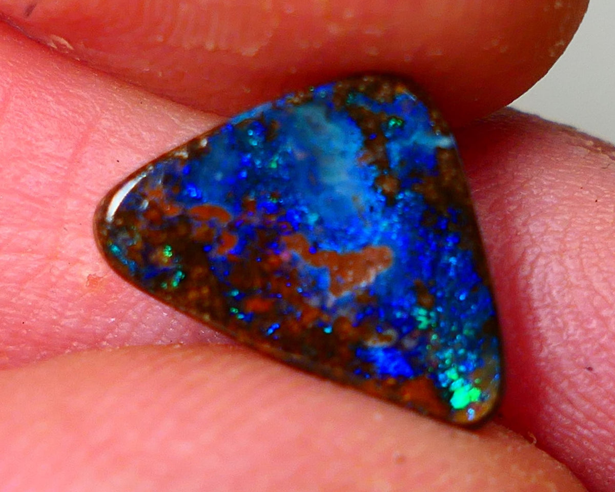 Queensland Boulder opal Polished Gemstone cts  Winton Bright Blue/Green fires showing Weekly Deal 2