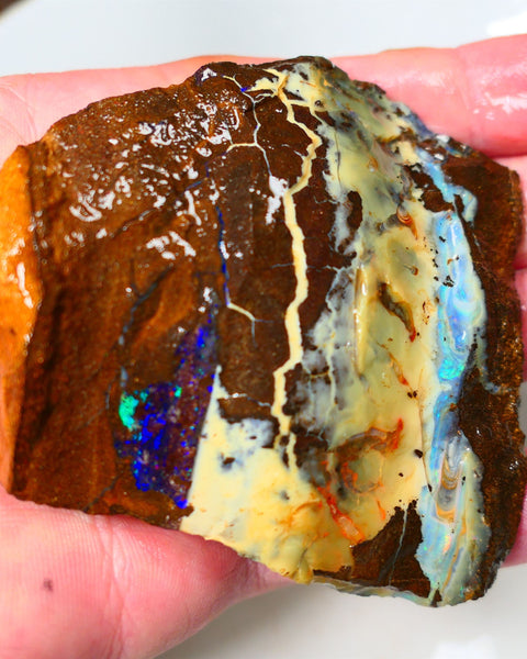 Queensland Boulder Quilpie Field Old School boulder opal large 800cts specimen with Bright colours Weekly Deal 1