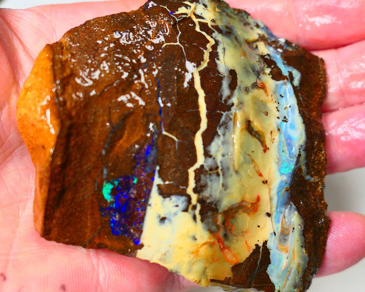 Queensland Boulder Quilpie Field Old School boulder opal large 800cts specimen with Bright colours Weekly Deal 1