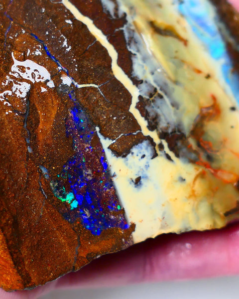 Queensland Boulder Quilpie Field Old School boulder opal large 800cts specimen with Bright colours Weekly Deal 1