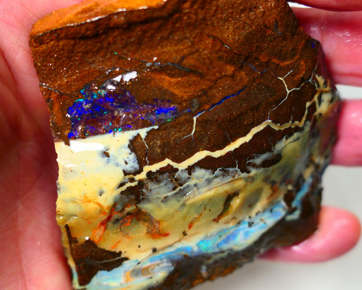 Queensland Boulder Quilpie Field Old School boulder opal large 800cts specimen with Bright colours Weekly Deal 1