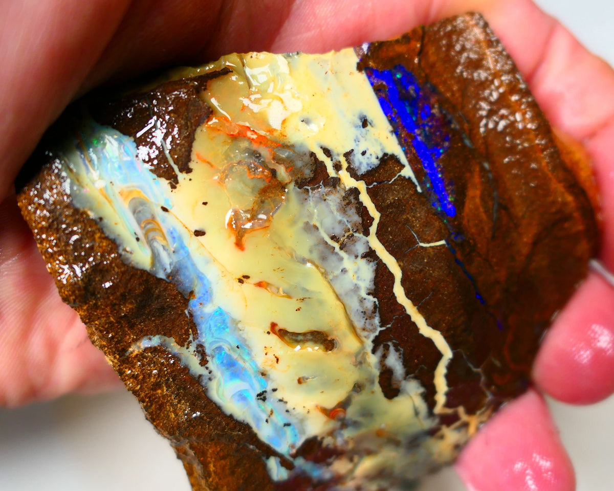 Queensland Boulder Quilpie Field Old School boulder opal large 800cts specimen with Bright colours Weekly Deal 1