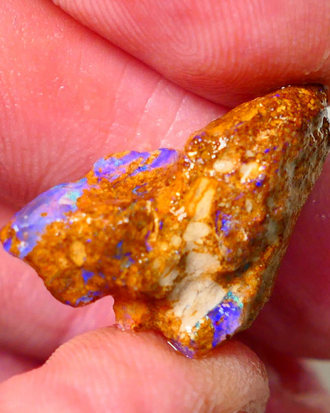 Queensland Sandy Ironstone Boulder opal nodule Showing lots of Bright Blue colours ALP0