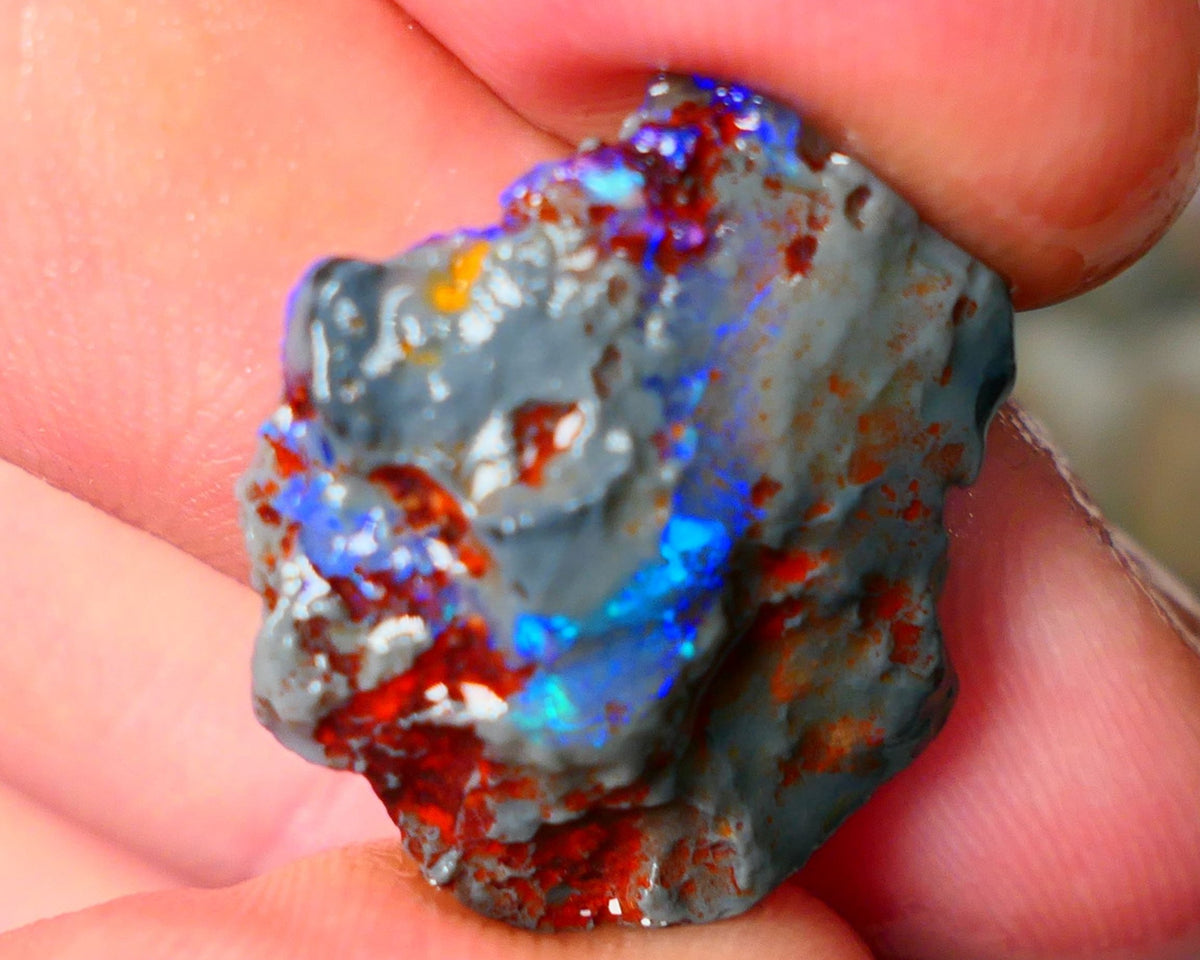 Lightning Ridge Knobby opal rough showing nice bright colours details to come 10.50cts 22x19x6mm ALP105