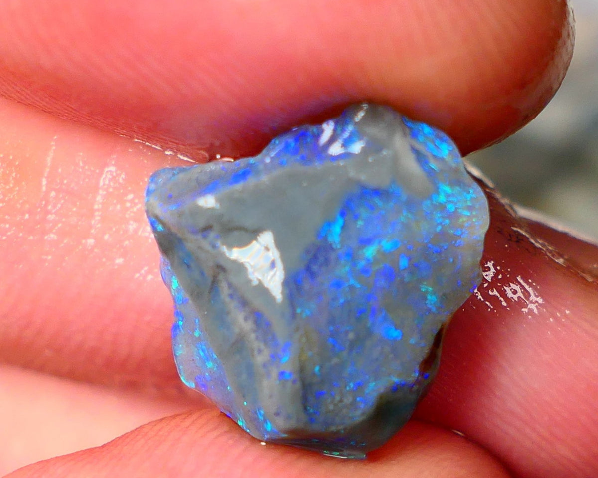 Lightning Ridge Knobby opal rough showing nice bright colours details to come 7.00cts 16x15x7mm ALP107