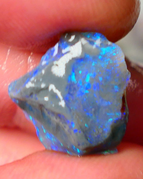 Lightning Ridge Knobby opal rough showing nice bright colours details to come 7.00cts 16x15x7mm ALP107