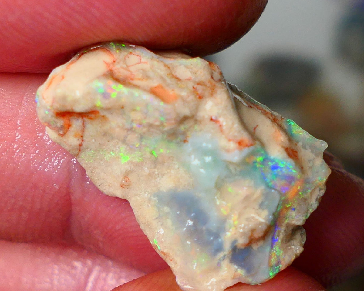 Lightning Ridge Seam opal formation rough showing nice bright Multi colours 11.00cts 23x15x7mm  ALP110