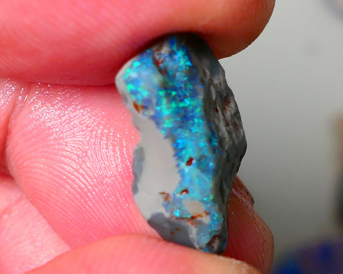 Lightning Ridge Dark base Seam opal 5.50cts showing Blue/Green colours to gamble 21x9x5mm AUCTION29