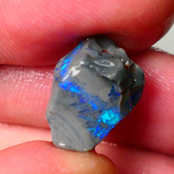 Lightning Ridge Seam opal rough showing nice bright colours details to come 6.50cts 18x13x7mm ALP109