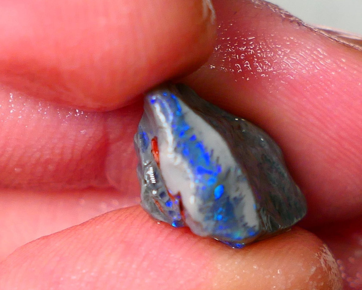 Lightning Ridge Seam opal rough showing nice bright colours details to come 6.50cts 18x13x7mm ALP109