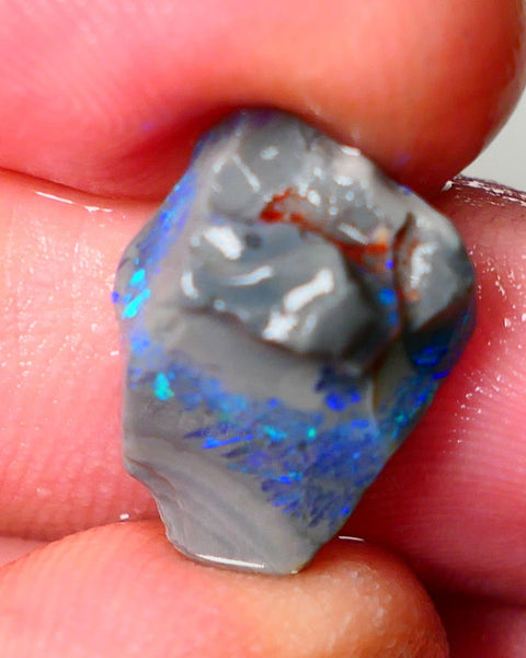 Lightning Ridge Seam opal rough showing nice bright colours details to come 6.50cts 18x13x7mm ALP109