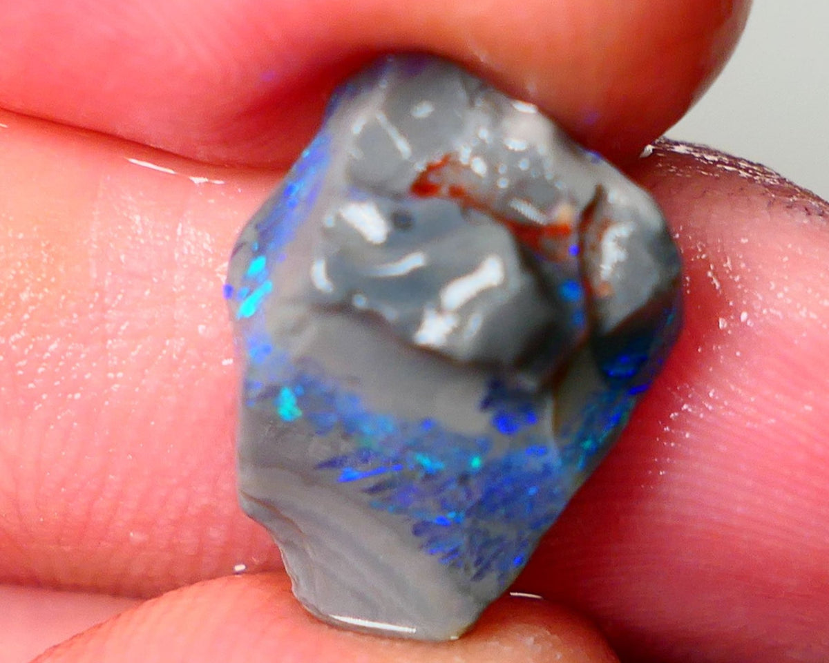 Lightning Ridge Seam opal rough showing nice bright colours details to come 6.50cts 18x13x7mm ALP109