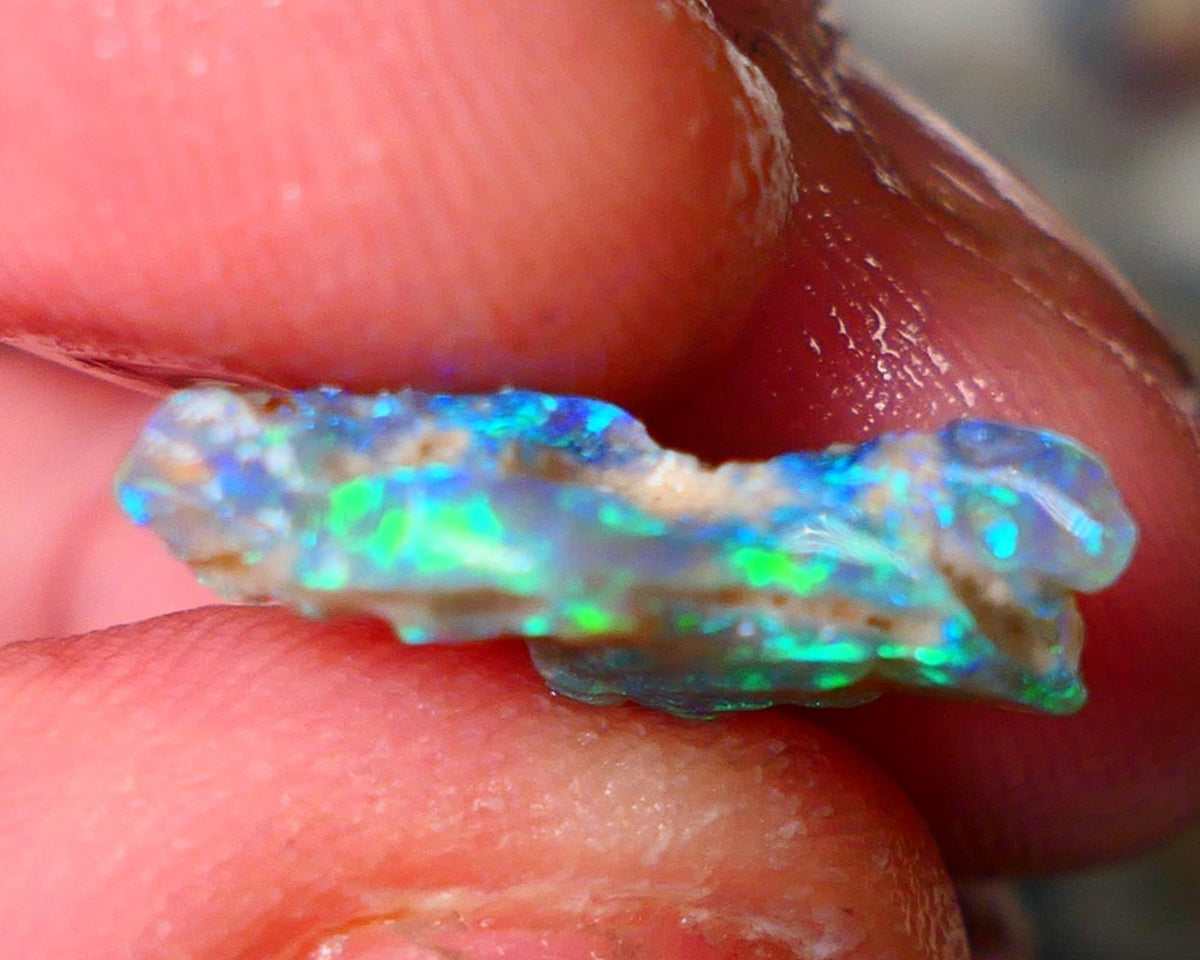 Lightning Ridge Knobby opal rough showing nice bright colours details to come 5.00cts 17x13x4mm ALP104