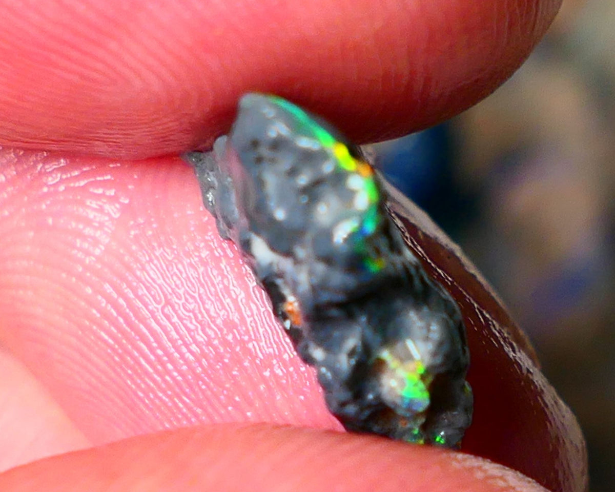 Lightning Ridge N1 Black knobby opal rough piece 3.50cts Check the video showing Nice bars with Bright Multi colours and flashes of the illusive reds 15x11x5mm  ALP125