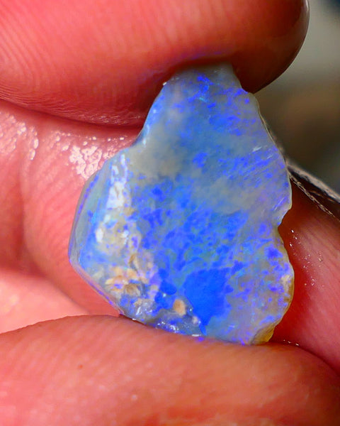 Lightning Ridge Seam opal rough showing nice bright colours details to come cts ALP1xx