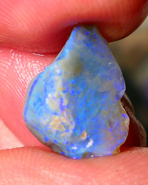 Lightning Ridge Seam opal rough showing nice bright colours details to come cts ALP1xx