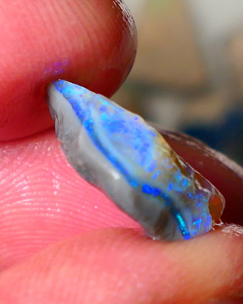 Lightning Ridge Seam opal rough showing nice bright colours details to come cts ALP1xx