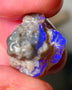 Lightning Ridge Dark Crystal Knobby opal formation rough showing nice bright blue colours 12.50cts 18x14x10mm ALP123