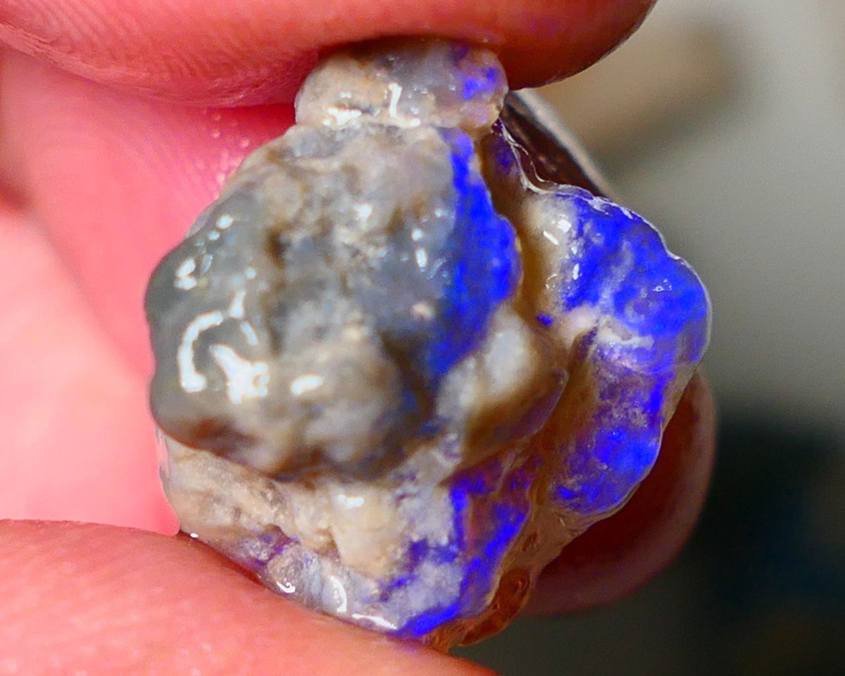 Lightning Ridge Dark Crystal Knobby opal formation rough showing nice bright blue colours 12.50cts 18x14x10mm ALP123