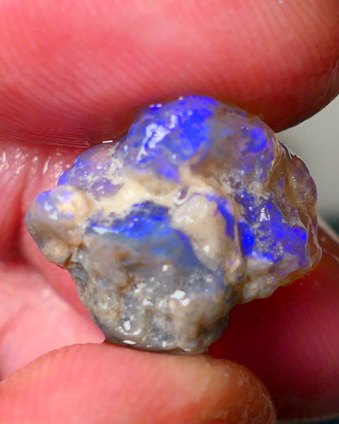 Lightning Ridge Dark Crystal Knobby opal formation rough showing nice bright blue colours 12.50cts 18x14x10mm ALP123