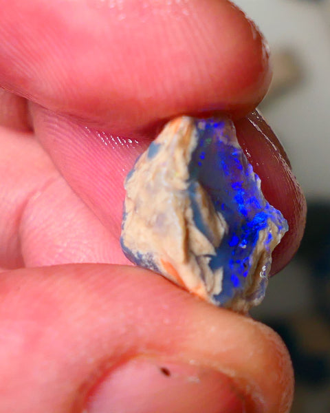 Lightning Ridge Knobby opal formation rough showing nice bright blue colours 7.25cts 16x10x9mm ALP122