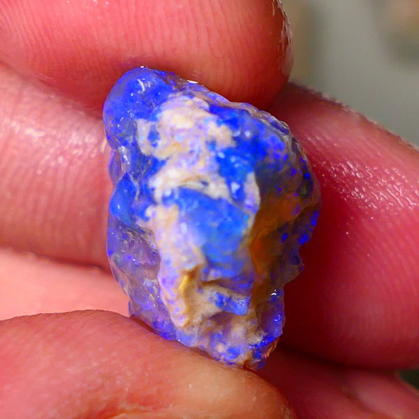 Lightning Ridge Knobby opal rough showing nice bright Deep blue colours 13.00cts 19x1x11mm ALP121