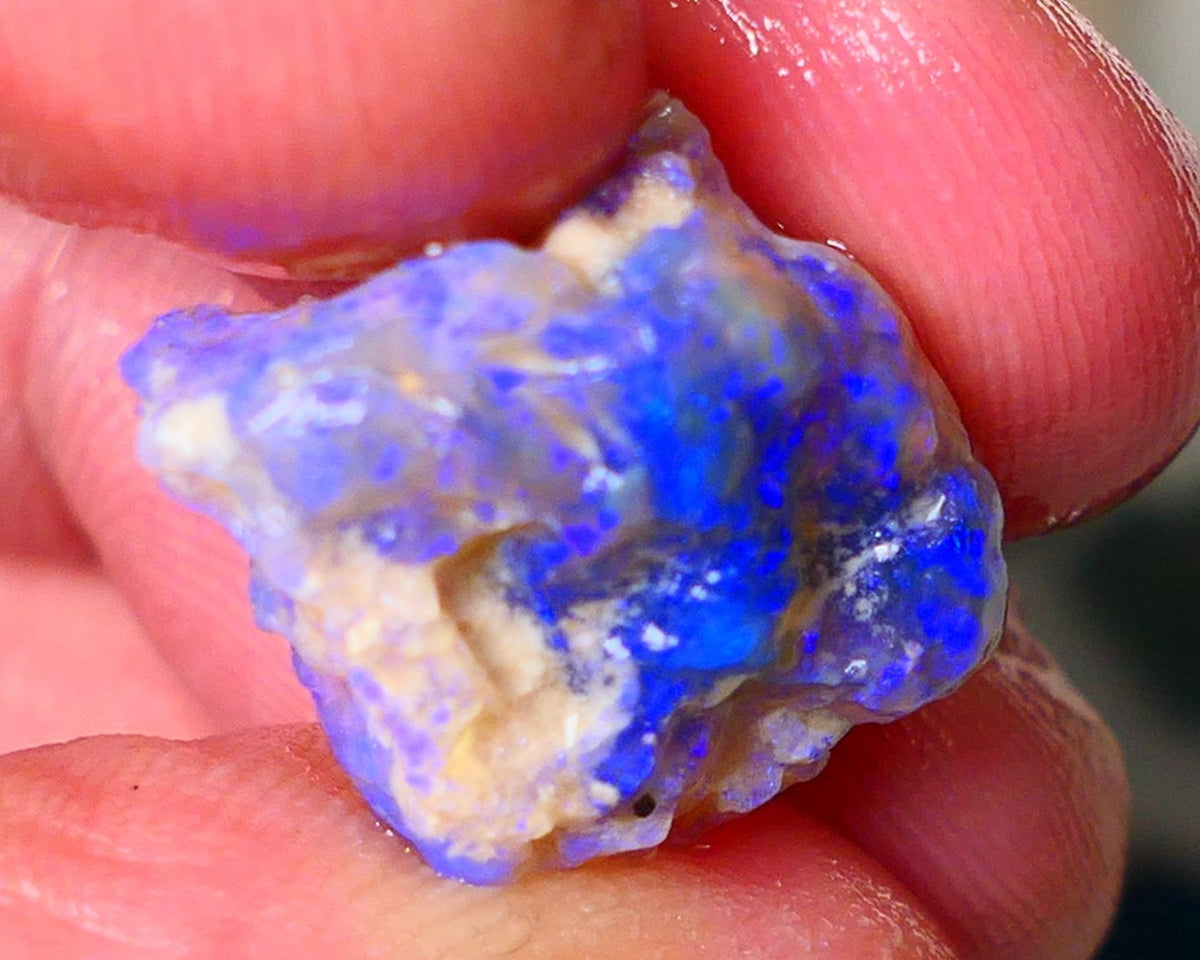 Lightning Ridge Knobby opal rough showing nice bright Deep blue colours 13.00cts 19x1x11mm ALP121