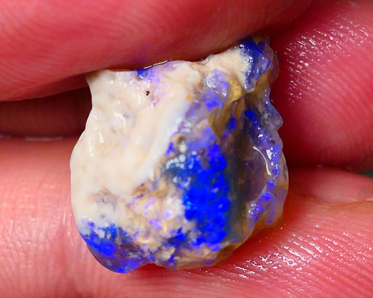 Lightning Ridge Knobby opal rough showing nice bright Deep blue colours 13.00cts 19x1x11mm ALP121