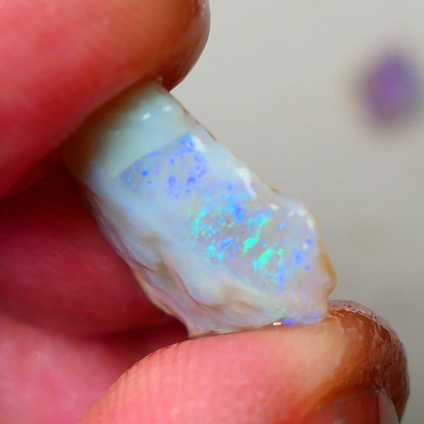 Lightning Ridge Dark Crystal Seam opal rough 7.25cts showing Gemmy bright bar with multi colours to cut worth a gamble on this one cut a gem 16x14x5mm ALP118