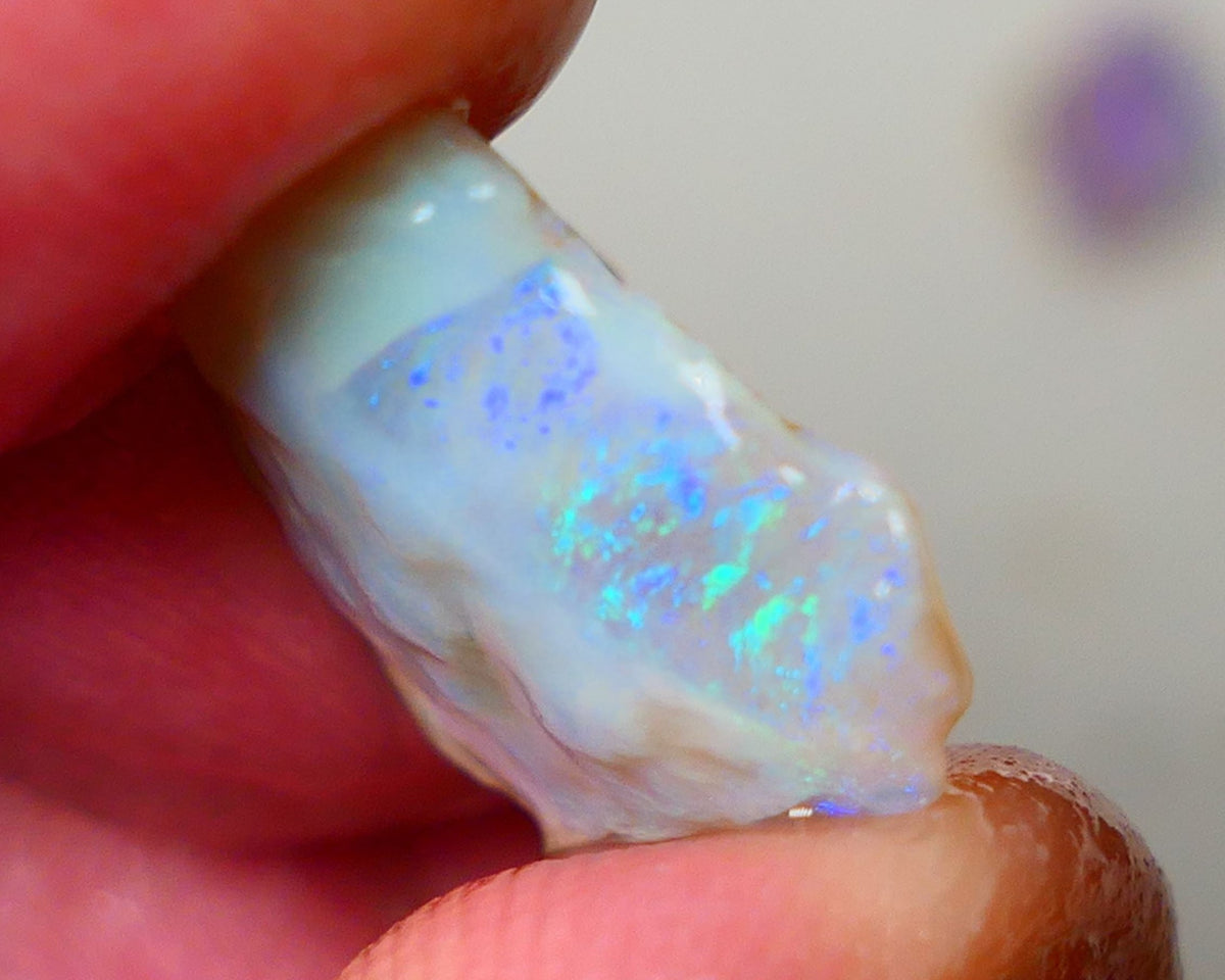 Lightning Ridge Dark Crystal Seam opal rough 7.25cts showing Gemmy bright bar with multi colours to cut worth a gamble on this one cut a gem 16x14x5mm ALP118