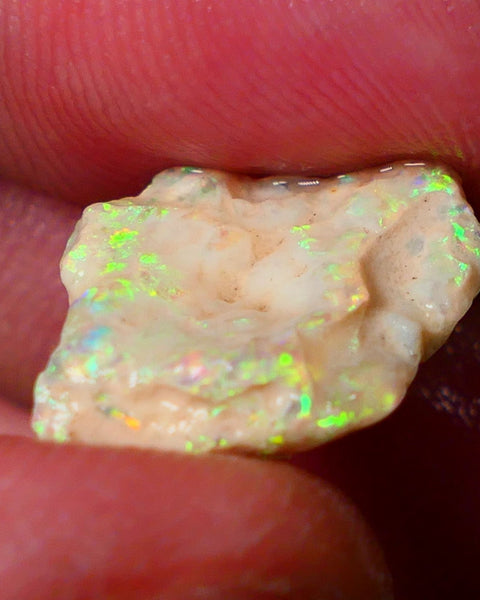 Lightning Ridge Gamble Knobby opal formation rough showing Very bright Yellow dominant Multi colours 7.00cts 20x13x5mm ALP116